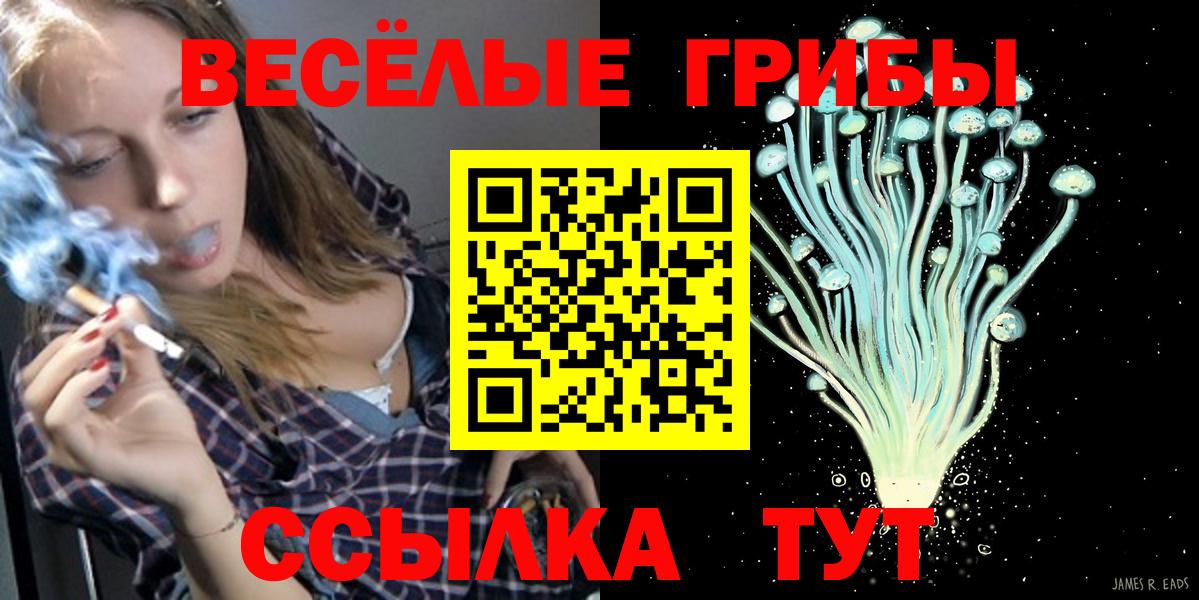 Галлюциногенные грибы Psilocybine cubensis  Вход с VPN  Муром 